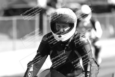 media/Feb-23-2025-2WTD (Sun) [[9604a77d5d]]/1-Around the Pits/